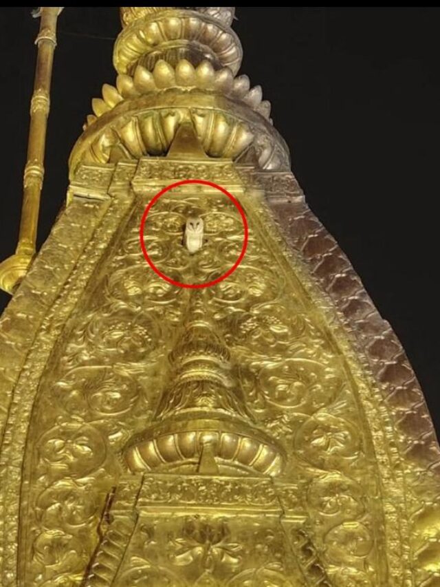 Kashi Vishwanath Temple