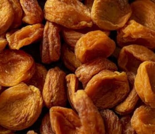 Apricot Benefits : काजू बादाम से ज्यादा फायदेमंद है ये ड्राई फ्रूट, खाने से चेहरे पर आता है गुलाबी निखार Apricot Benefits