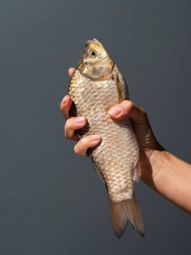 Fish health benefits