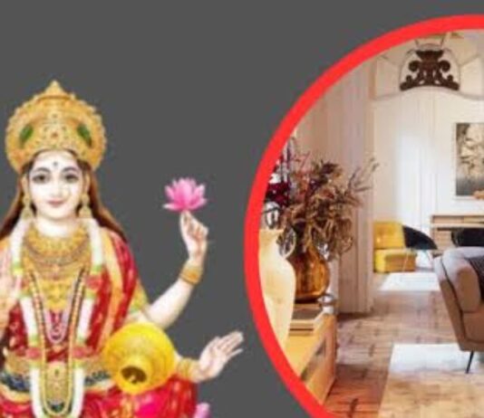 Vastu Tips :  घर में वास्तु दोष नहीं लगने देते हैं ये चीज, इन्हें घर में रखने से आती है सुख समृद्धि Vastu Tips