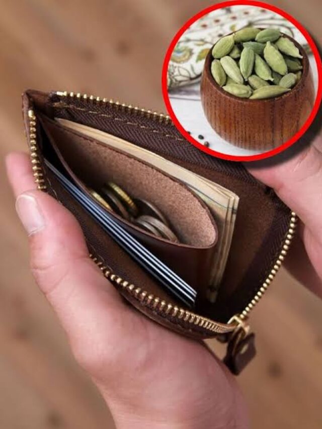 Elaichi vastu tips :