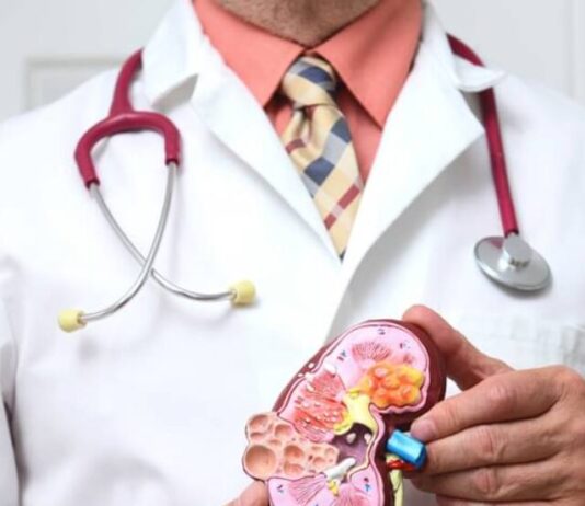 Symptoms Of Kidney Damage: किडनी डैमेज होने से पहले शरीर में दिखते है ये लक्षण, तुरंत डॉक्टर से करें संपर्क Symptoms Of Kidney Damage
