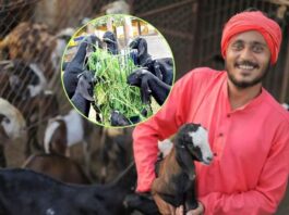 Bakri Palan Loan Yojana