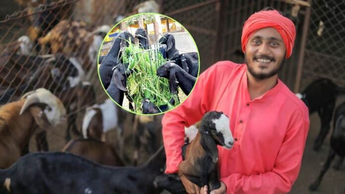 Bakri Palan Loan Yojana