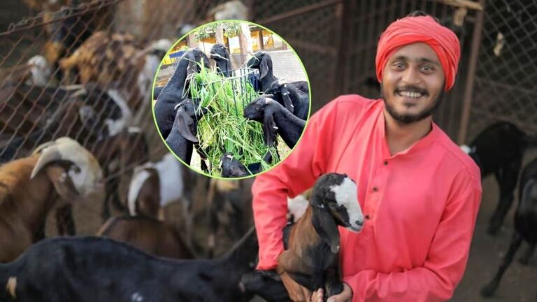 Bakri Palan Loan Yojana