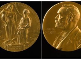 Nobel Prize Winners 2025