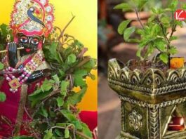 Tulsi Vivah 2025