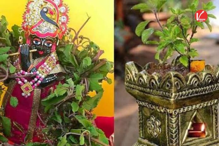 Tulsi Vivah 2025