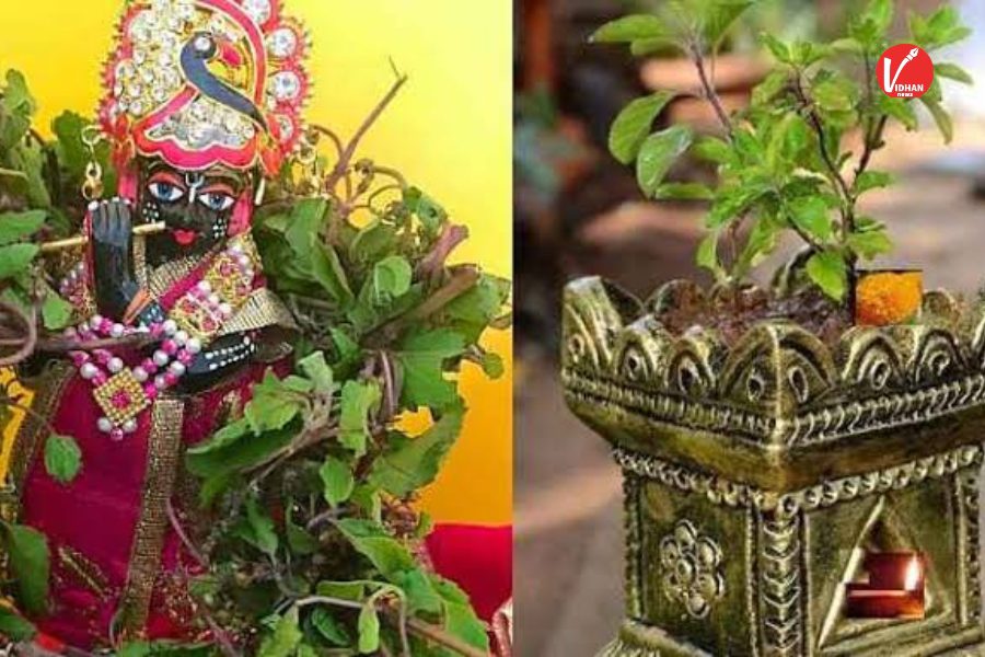 Tulsi Vivah 2025 Tulsi Vivah 2025