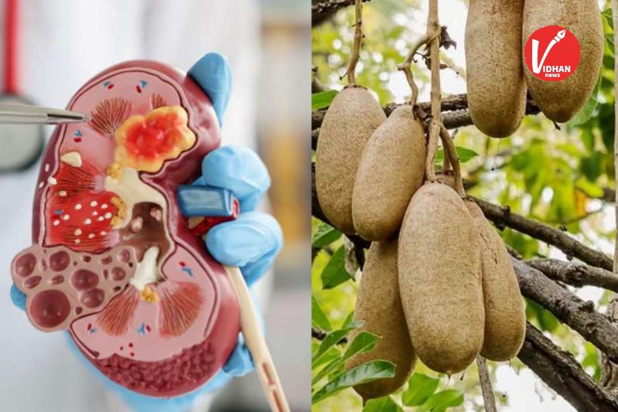 Balm Khira Benefits Balm Khira Benefits