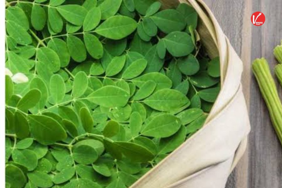 befunky_2025-10-3_12-16-47