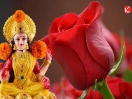 Vastu Tips For Money