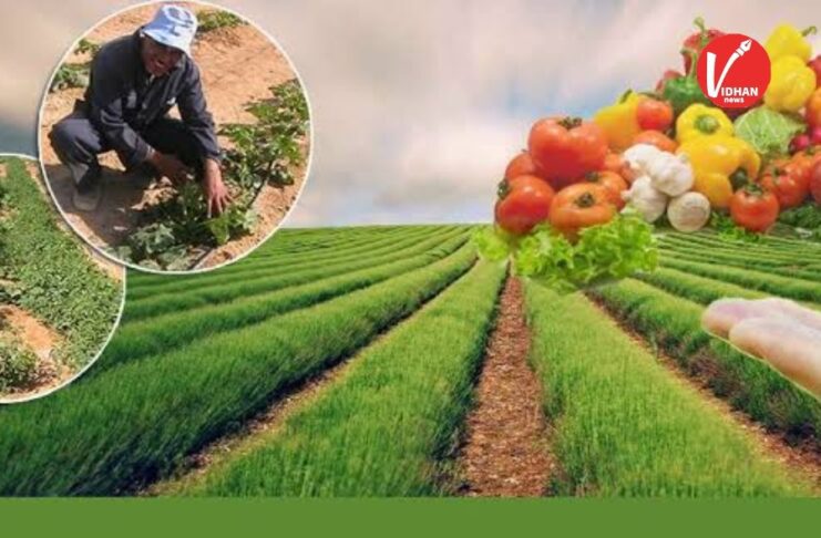 Profitable Winter Crops