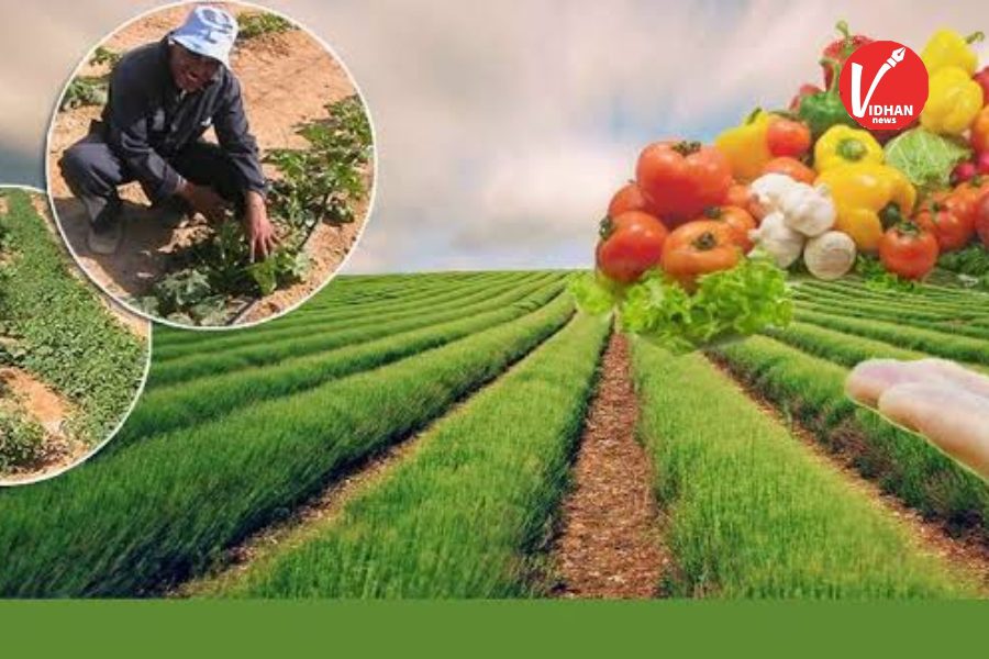 Profitable Winter Crops