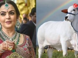 Neeta Ambani Lifestyle