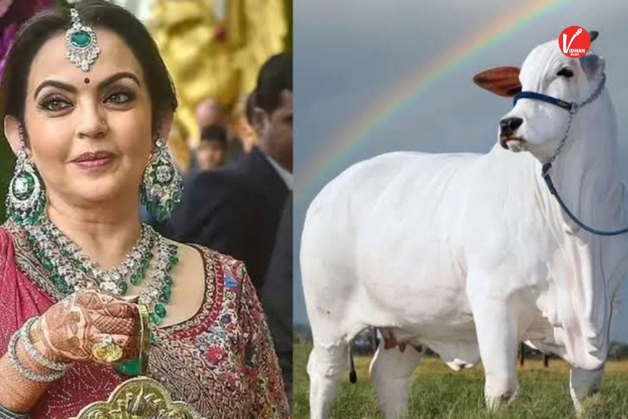 Neeta Ambani Lifestyle