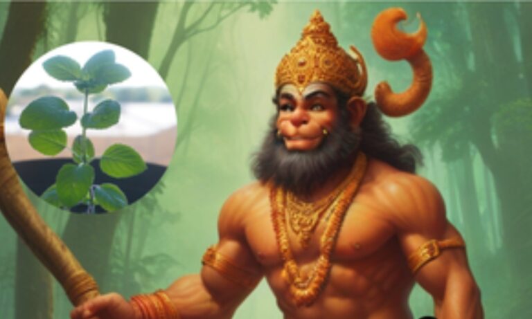 Why Tulsi is dear to Lord Hanuman: हनुमानजी को क्यों अत्यंत प्रिय है तुलसी? जानिए इससे जुड़ा धार्मिक कारण
