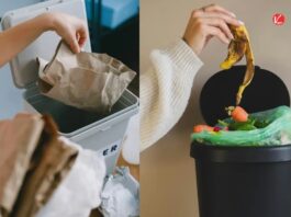 Vastu Tips for Dustbin