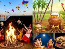 January 2026 festivals :