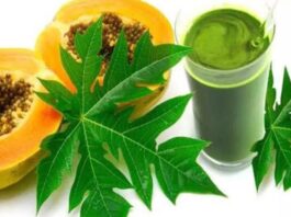 Papaya leaf juice benefits