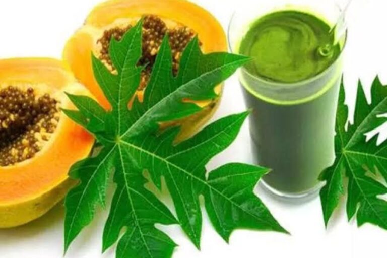 Papaya leaf juice benefits