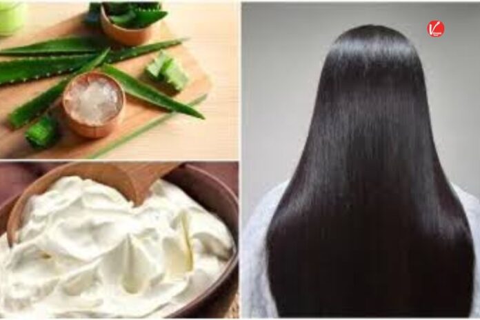 Hair Care Tips