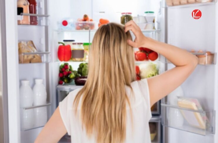 Refrigerator danger sound