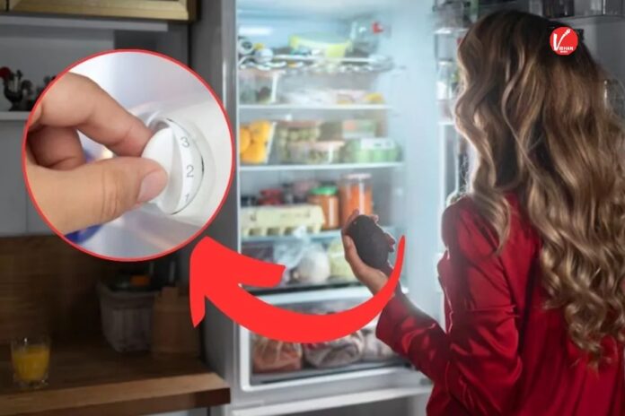 Winter refrigerator usage