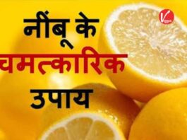 Nimbu Vastu Tips