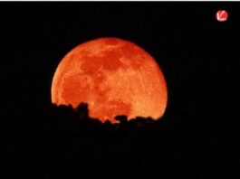 Lunar Eclipse India 2026