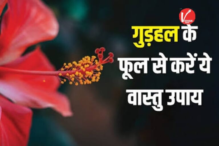 Vastu Tips: बीत रही है उम्र और नहीं हो रही है शादी? तो मां दुर्गा के सामने गुड़हल के फूल से करें ये वास्तु उपाय, जल्द बजेगी शहनाई
