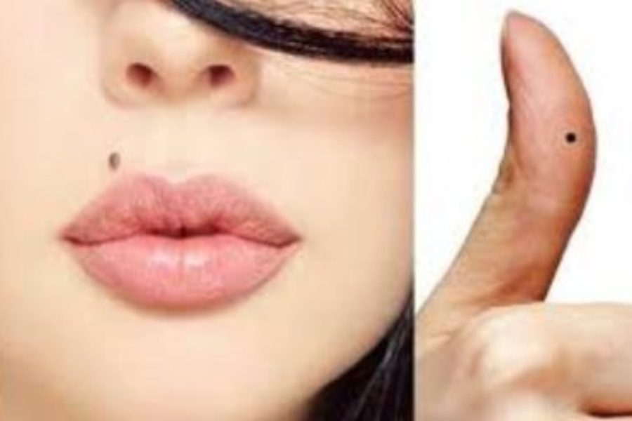 befunky_2026-0-4_20-37-47