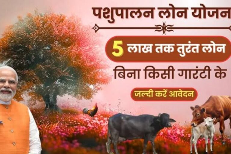 Pashupalan Loan Yojana: सरकार 0% ब्याज पर दे रही है लाखों रुपए का लोन, ये लोग कर सकते हैं अप्लाई, यहां देखें डीटेल्स