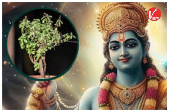 Papmochani Ekadashi 2026